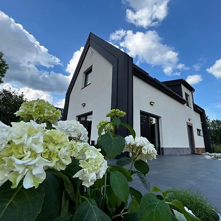 Black & White Houses Niedzica 外观 照片